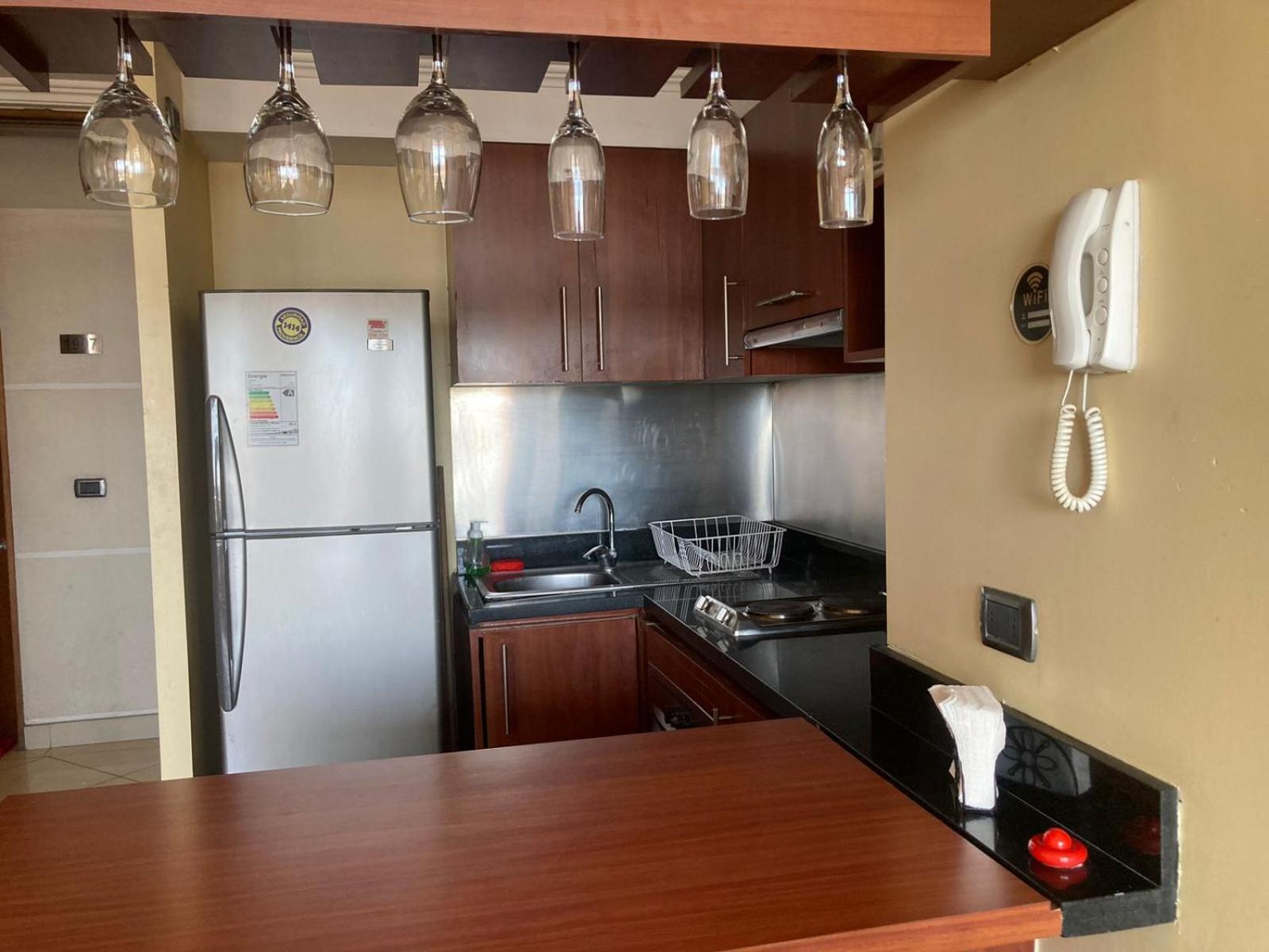 Apartamento Depto Manuel Montt Providencia *