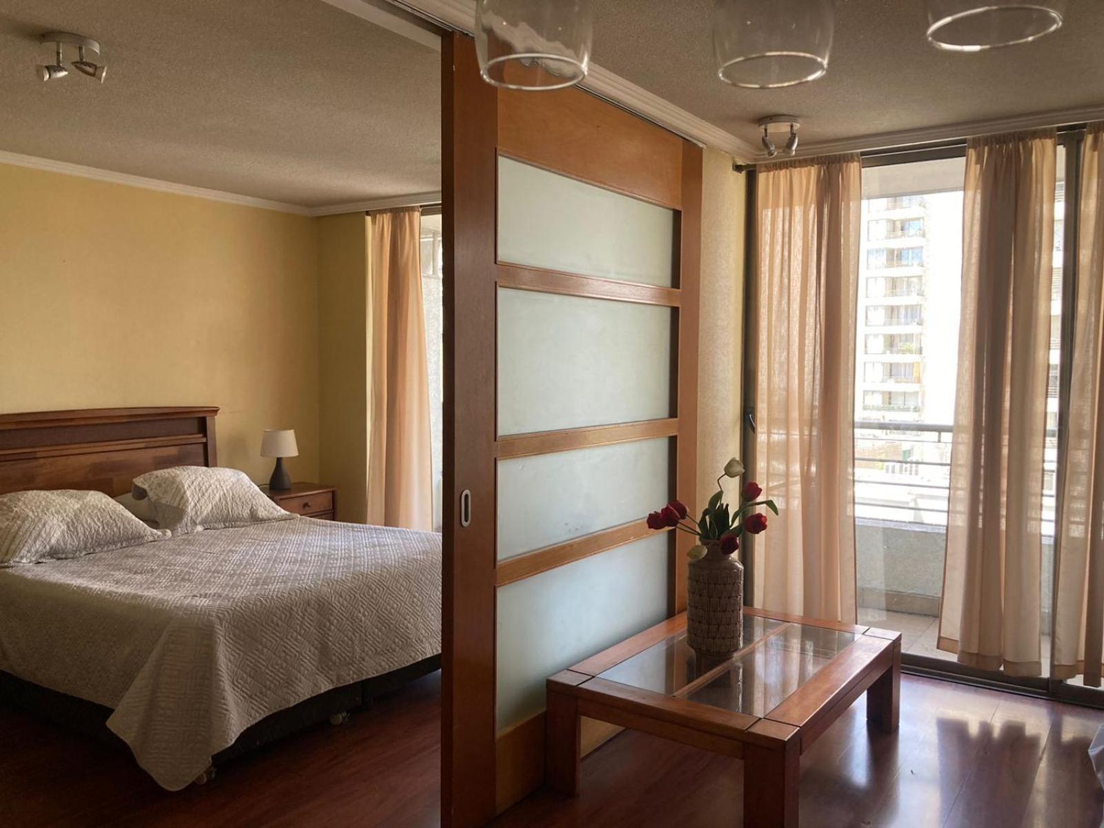 Depto Manuel Montt Providencia Apartamento *